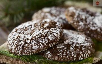 Christmas Cookie Gift Bags (1)